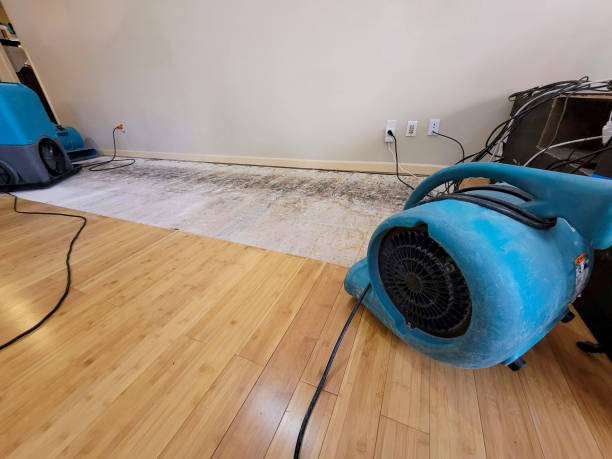 Professional Water Damage Repair technician working in Slaughter, LA